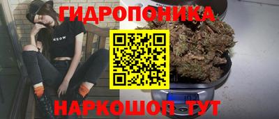 соль курить ск Новодвинск