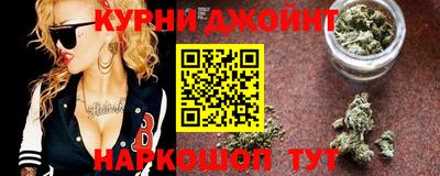 прущие крисы Новозыбков