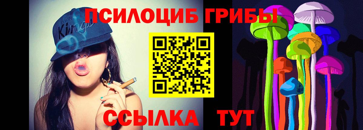 Галлюциногенные грибы Psilocybine cubensis  Вход с VPN  Тобольск  Галлюциногенные грибы прущие грибы 
